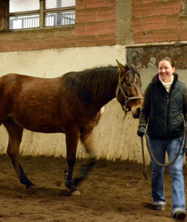 Tanja führt ein braunes Pferd