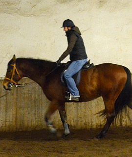 Tanja reitet auf einem braunen Pferd
